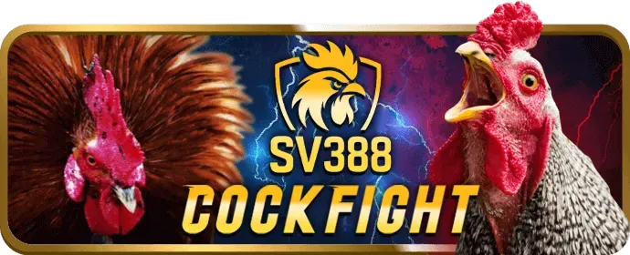 Đá gà trực tuyến onbet3
